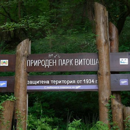 Pinus Villas Lodge With Private Jacuzzi & Phyto-Sauna Retreat Zheleznitsa Buitenkant foto
