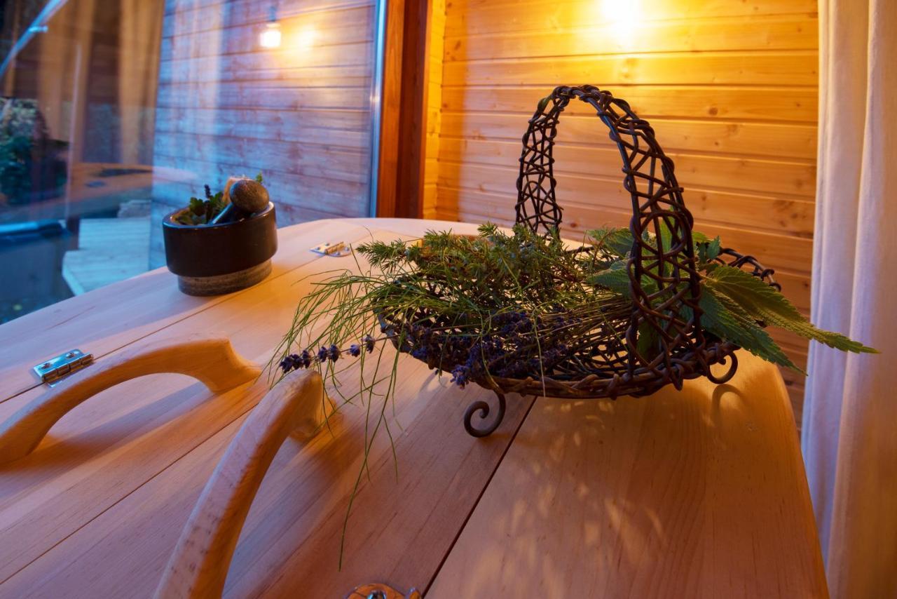 Pinus Villas Lodge With Private Jacuzzi & Phyto-Sauna Retreat Zheleznitsa Buitenkant foto