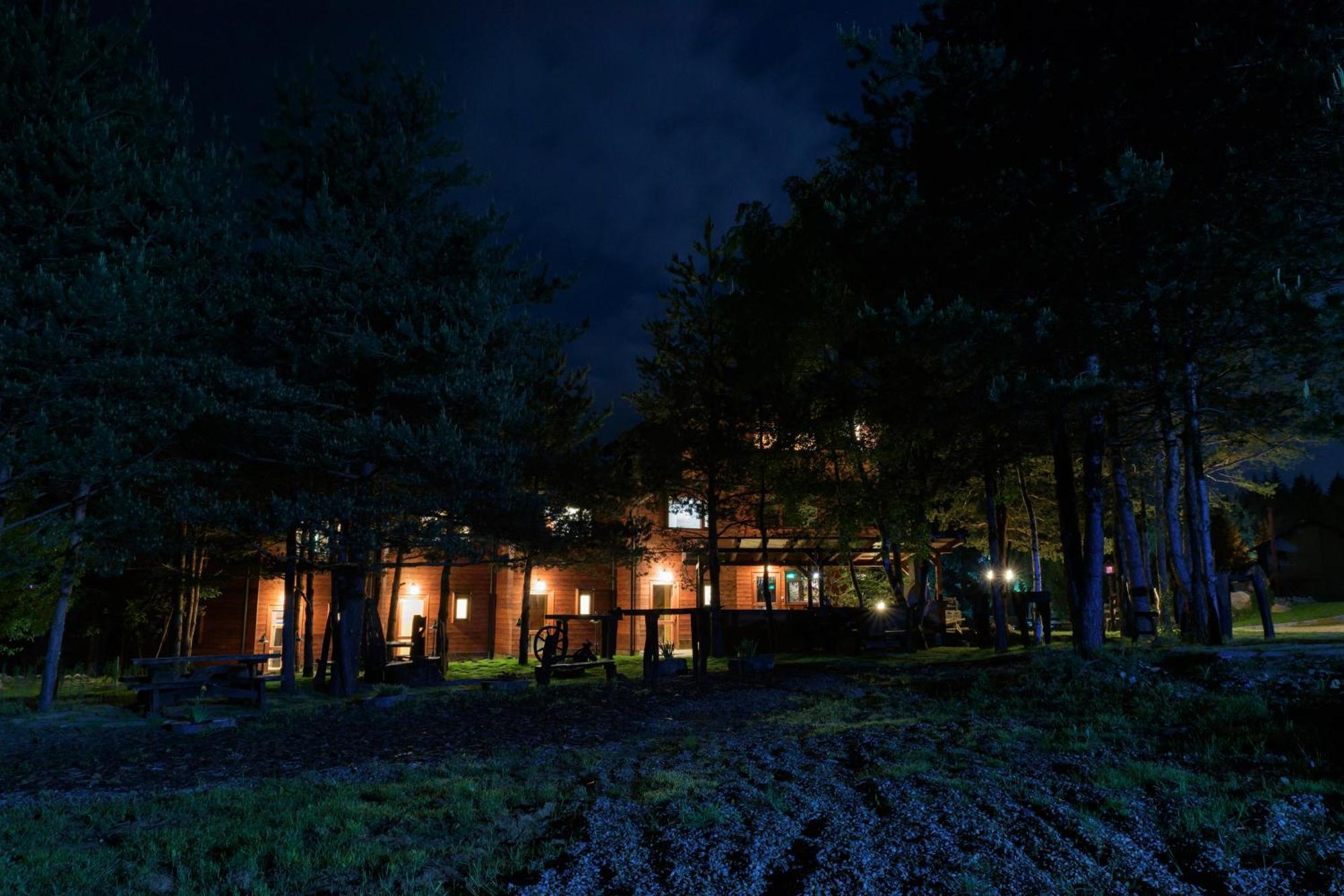 Pinus Villas Lodge With Private Jacuzzi & Phyto-Sauna Retreat Zheleznitsa Buitenkant foto