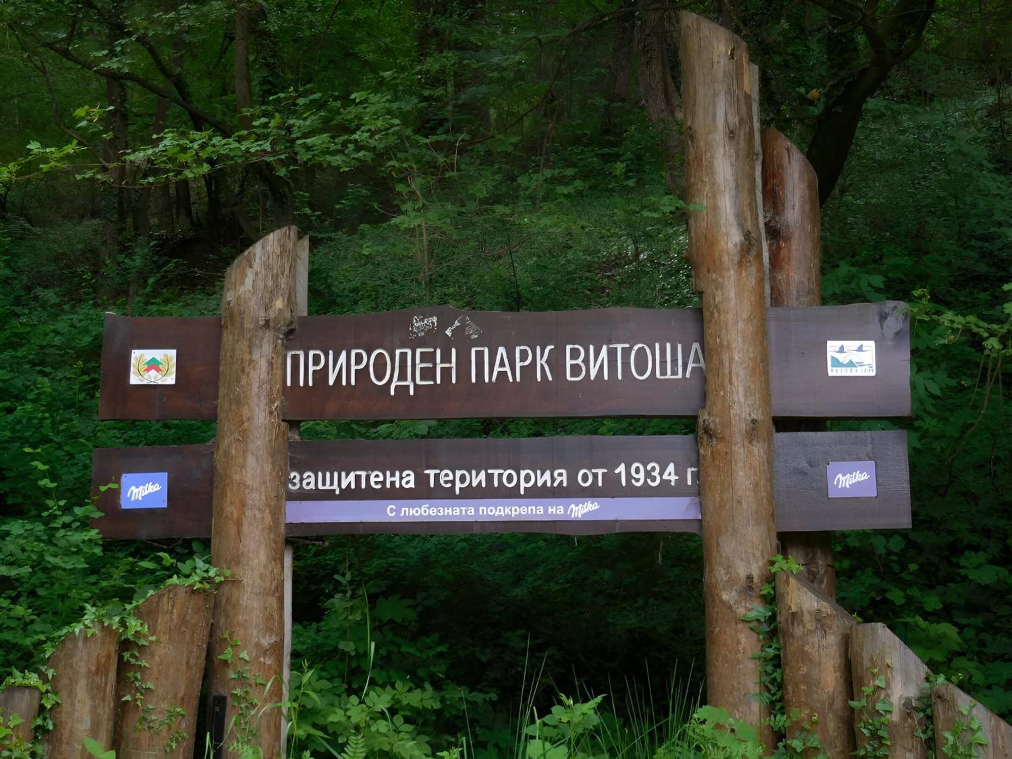 Pinus Villas Lodge With Private Jacuzzi & Phyto-Sauna Retreat Zheleznitsa Buitenkant foto