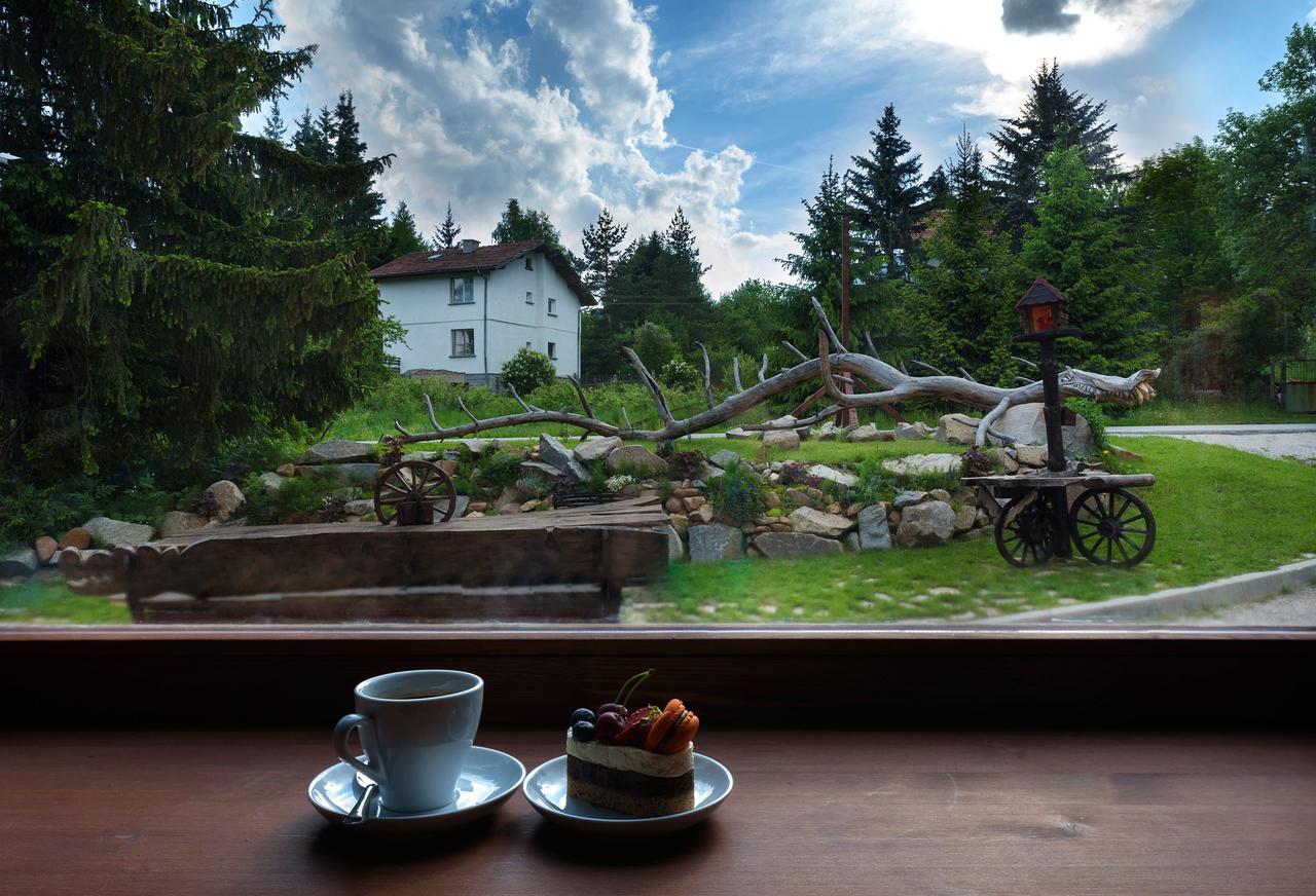 Pinus Villas Lodge With Private Jacuzzi & Phyto-Sauna Retreat Zheleznitsa Buitenkant foto