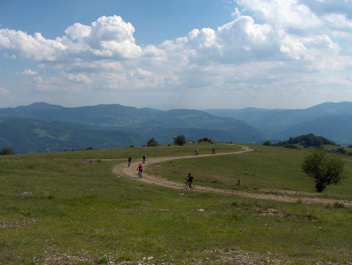 Pinus Villas Lodge With Private Jacuzzi & Phyto-Sauna Retreat Zheleznitsa Buitenkant foto
